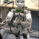 Illustration for article titled iCub Baby Robot to Undergo Developmental Training, Still Isn't a Real Kid